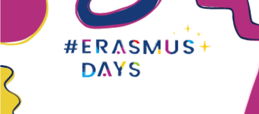 Featured image for “Erasmus Days”